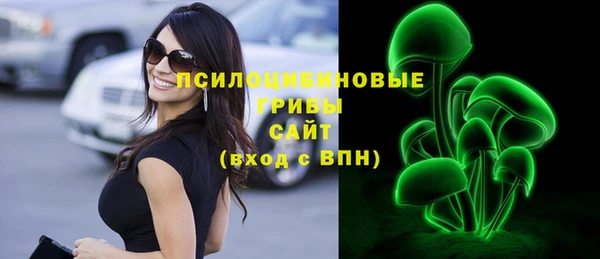 прущие крисы Арсеньев