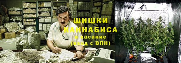 спайс Аркадак