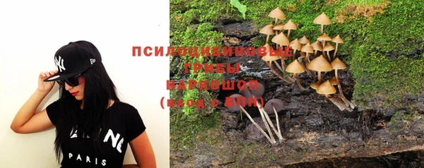 прущие крисы Арсеньев