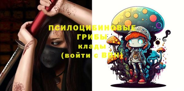 прущие крисы Арсеньев