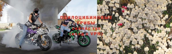 прущие крисы Арсеньев