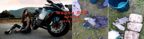 спайс Аркадак