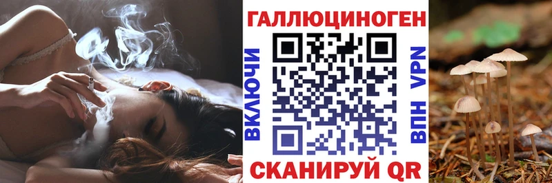 Псилоцибиновые грибы мицелий где можно купить Сарапул
